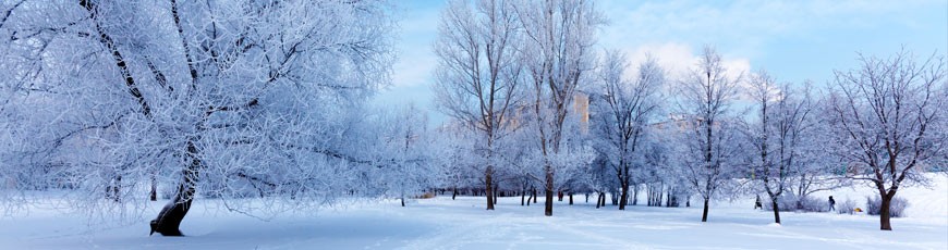 Winter_tips_banner